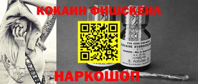 крисы Аргун