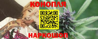 крисы Аргун