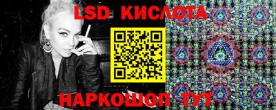 крисы Аргун